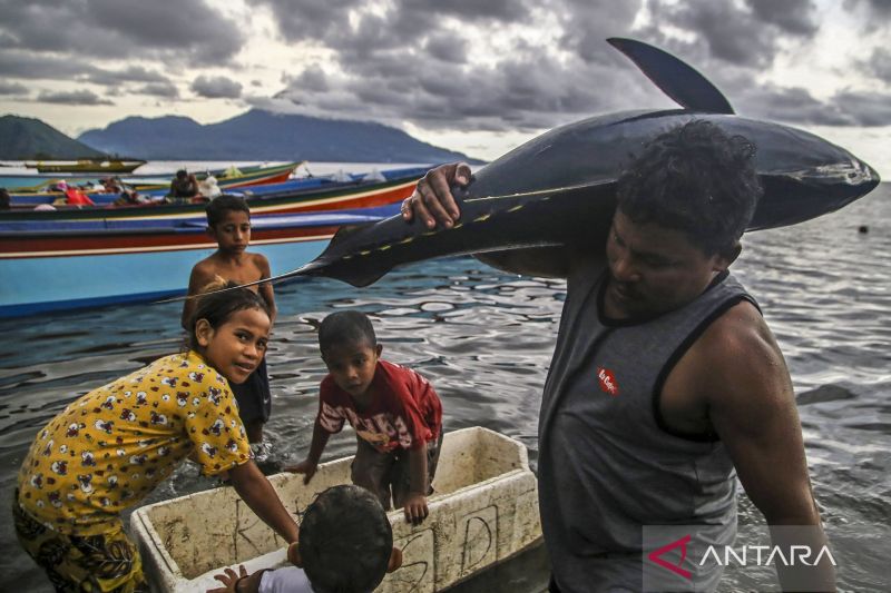 Indonesia Sumbang 15 Persen Pasokan Tuna Dunia, Ini Alasannya