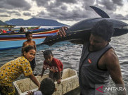 Indonesia Sumbang 15 Persen Pasokan Tuna Dunia, Ini Alasannya