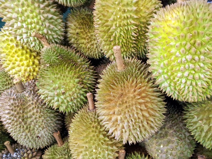 Buah durian. (Foto: Pixabay/PublicDomainPictures)
