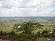 Jokowi Sebut Pembangunan IKN akan Selesai dalam 10 - 15 Tahun 