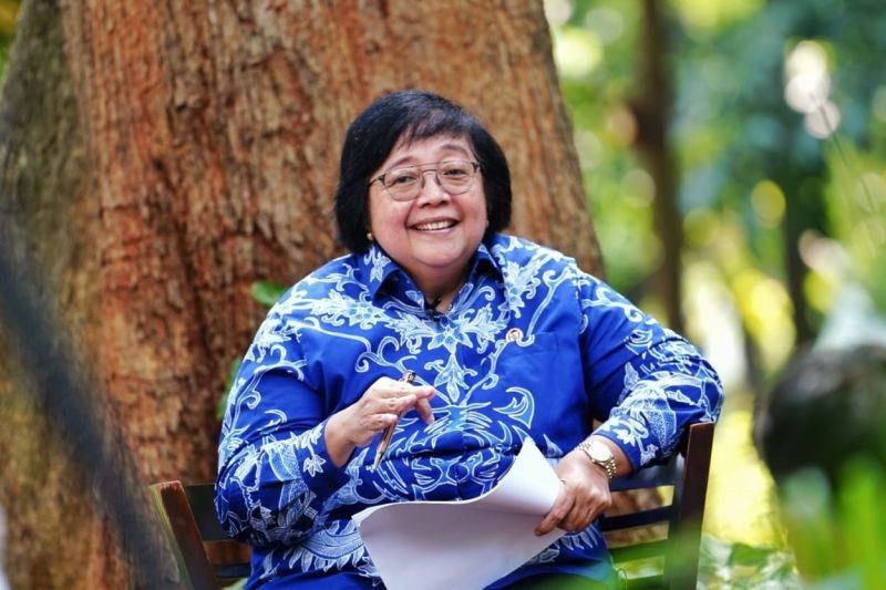 Menteri Siti Susun Kebijakan Buat Rehabilitasi Mangrove Secara Masif