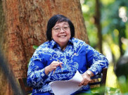 Menteri Siti Susun Kebijakan Buat Rehabilitasi Mangrove Secara Masif