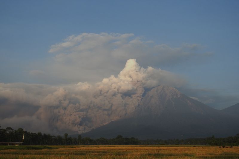 BNPB Ungkap Alasan Erupsi Semeru tidak Timbulkan Korban Jiwa