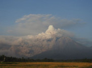 BNPB Ungkap Alasan Erupsi Semeru tidak Timbulkan Korban Jiwa