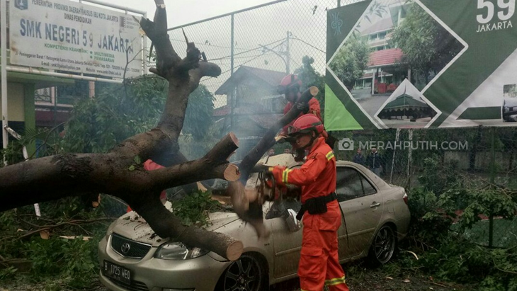 Mobil Guru SMK 59 Jakarta Ringsek Tertimpa Pohon