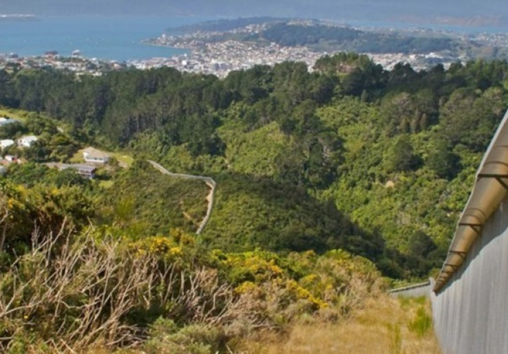 Zealandia: Surga Burung Langka di Selandia Baru