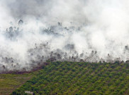  Luas Area Kebakaran Lahan dan Hutan di Sumatera Selatan Capai 1.675 Hektare