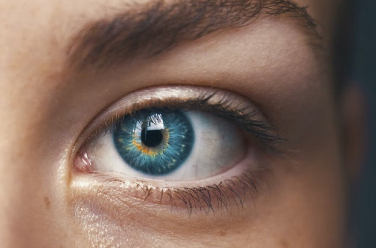 Cara Merawat Lensa Kontak Agar Kesehatan Mata Tetap Terjaga 