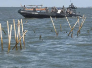 Wamendes PDTT Ancam Copot Kades yang Terlibat di Perkara Pagar Laut Tangerang