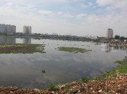Kondisi Waduk Pluit Kembali Ditumbuhi Eceng Gondok