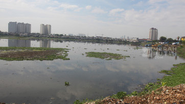 Kondisi Waduk Pluit Kembali Ditumbuhi Eceng Gondok