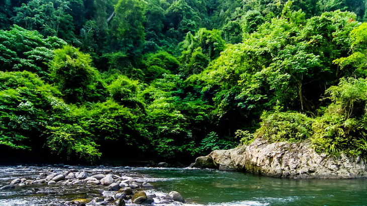 Jangan Dulu ke Kawasan Wisata Bukit Lawang, Jalannya Rusak