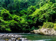 Jangan Dulu ke Kawasan Wisata Bukit Lawang, Jalannya Rusak