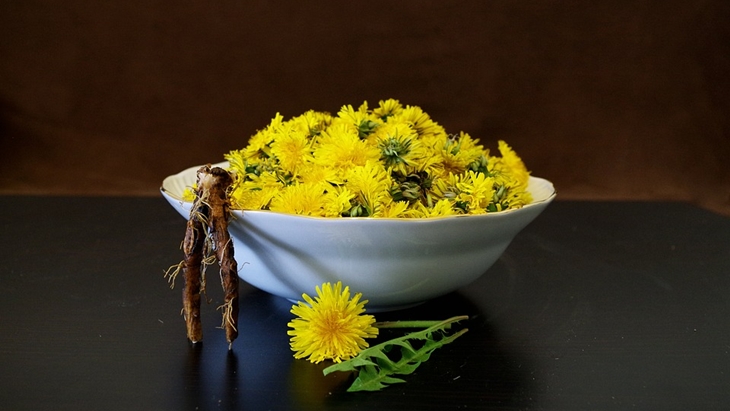  Bunga dandelion. (Foto: Pixabay/Ajale)