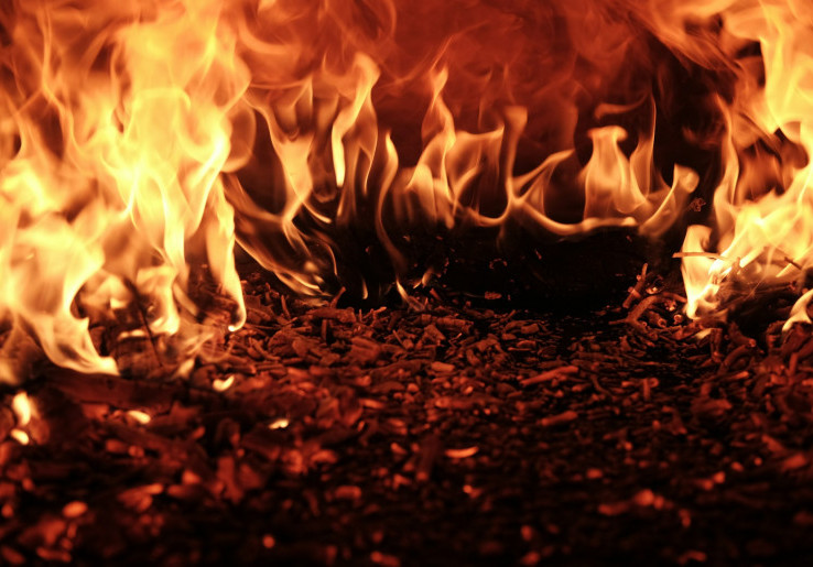 Apa itu Ground Fire? Fenomena Kebakaran Tersembunyi di Bawah Tanah