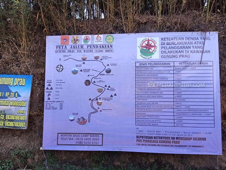 Cocok untuk Pemula, Simak Tips Mendaki Gunung Prau
