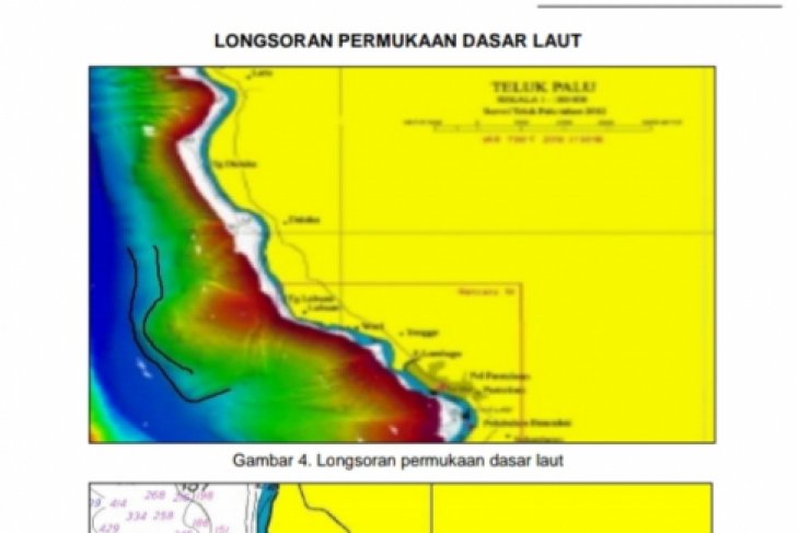 lumpur teluk palu