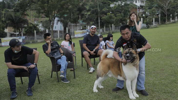 Gathering Pencinta American Akita di Von Haus JHL
