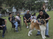 Gathering Pencinta American Akita di Von Haus JHL