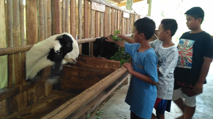 Suasana di Desa Wisata Gamol di Gamping Sleman (MP/Teresa Ika)