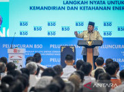 BRIN Temukan Cadangan Emas Baru Raksasa di Papua, Prabowo Sumringah