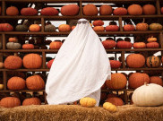 Sambut Halloween, Serial-Serial Horor di Netflix Ini Bikin Malam Jadi Mencekam