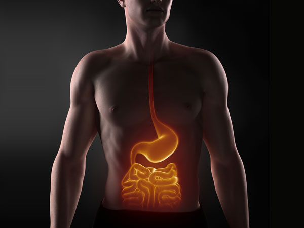 Menjaga organ internal (Foto: Boldsky)