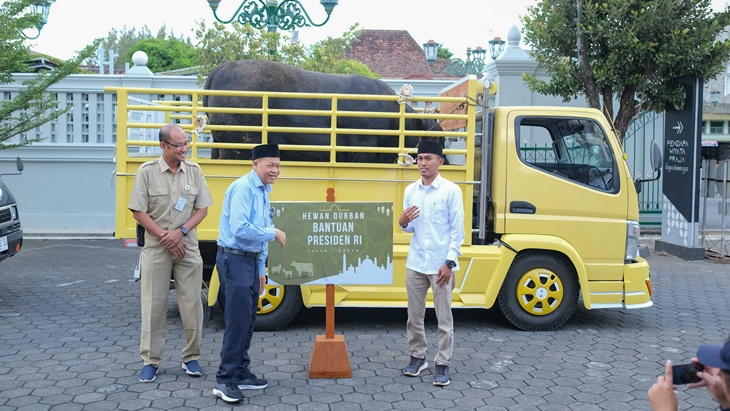 Black Boss, Sapi Kurban Jokowi Disumbangkan ke Warga Tepus Gunungkidul