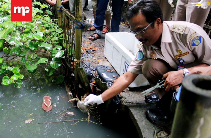 Penambahan Spesies Kepiting di Kawasan Wisata Hutan Mangrove Baros