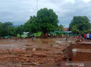 Update Banjir Bandang di Flores Timur: 174 Orang Meninggal Dunia