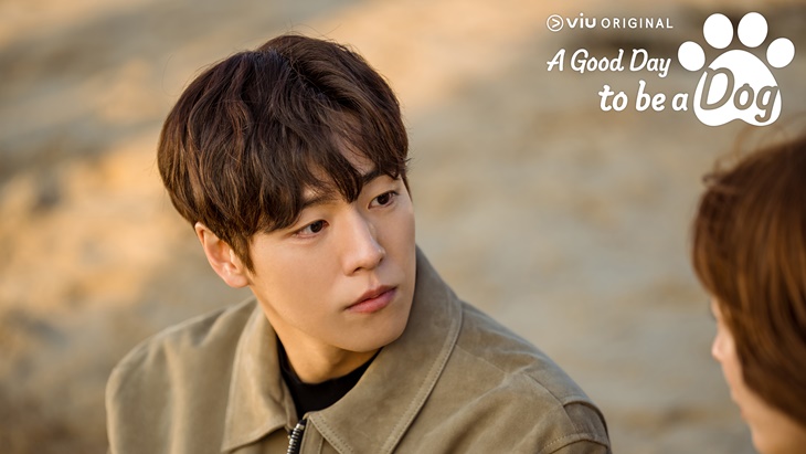 Cerita di Balik Layar Drama 'A Good Day to be a Dog'