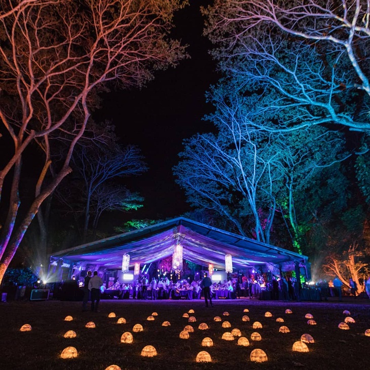 Flames of the Forest. (Foto: instagram.com/flamesoftheforest)