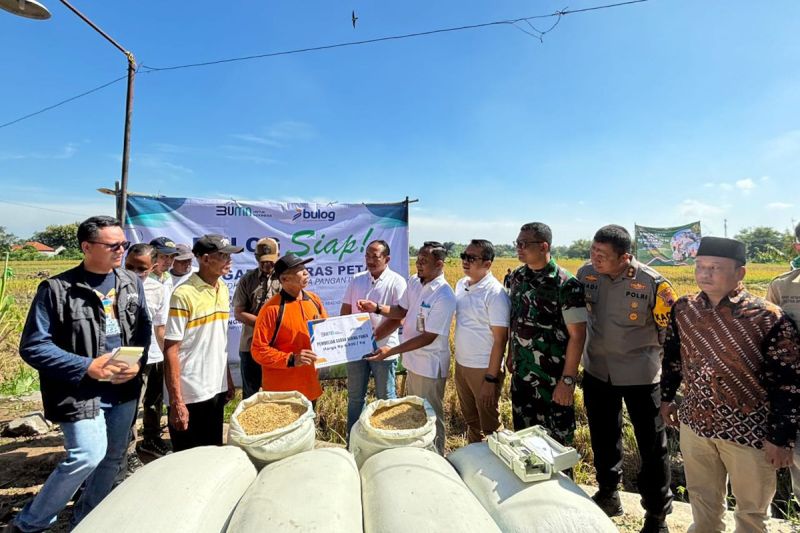 Bulog Kerahkan Babinsa Buat Optimalkan Serap Gabah Petani