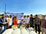 Bulog Kerahkan Babinsa Buat Optimalkan Serap Gabah Petani