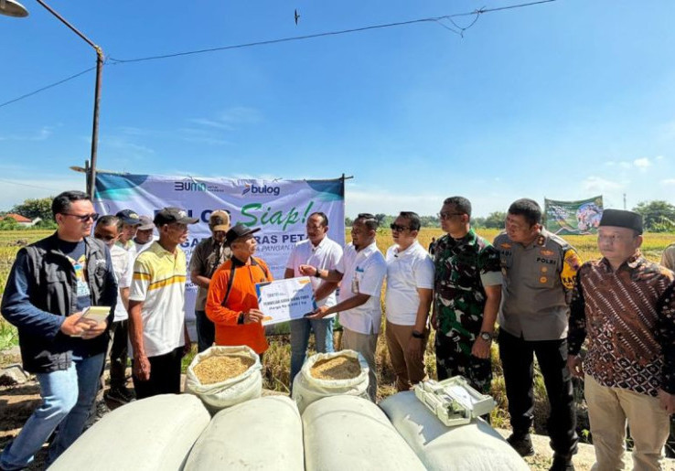 Bulog Kerahkan Babinsa Buat Optimalkan Serap Gabah Petani