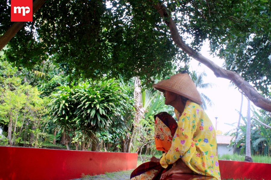 Menunggu Keajaiban Buah Dewadaru Sianto di Klenteng Tjoe Soe Kong