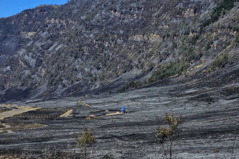 Begini Proses Refund Bagi Wisatawan Terdampak Penutupan Gunung Bromo Karena Kebakaran