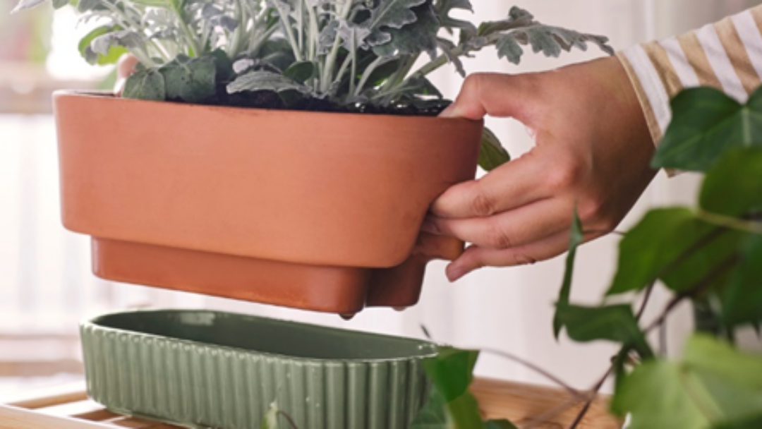 Berkebun makin Mudah dan Menyenangkan dengan 3 Alat dari Koleksi DAKSJUS
