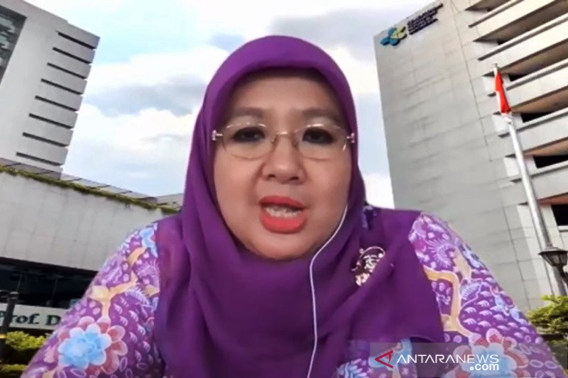 Direktur Pencegahan dan Pengendalian Penyakit Menular Langsung, Kementerian Kesehatan, Siti Nadia Tarmizi. ANTARA/HO-Kemenkes/am.