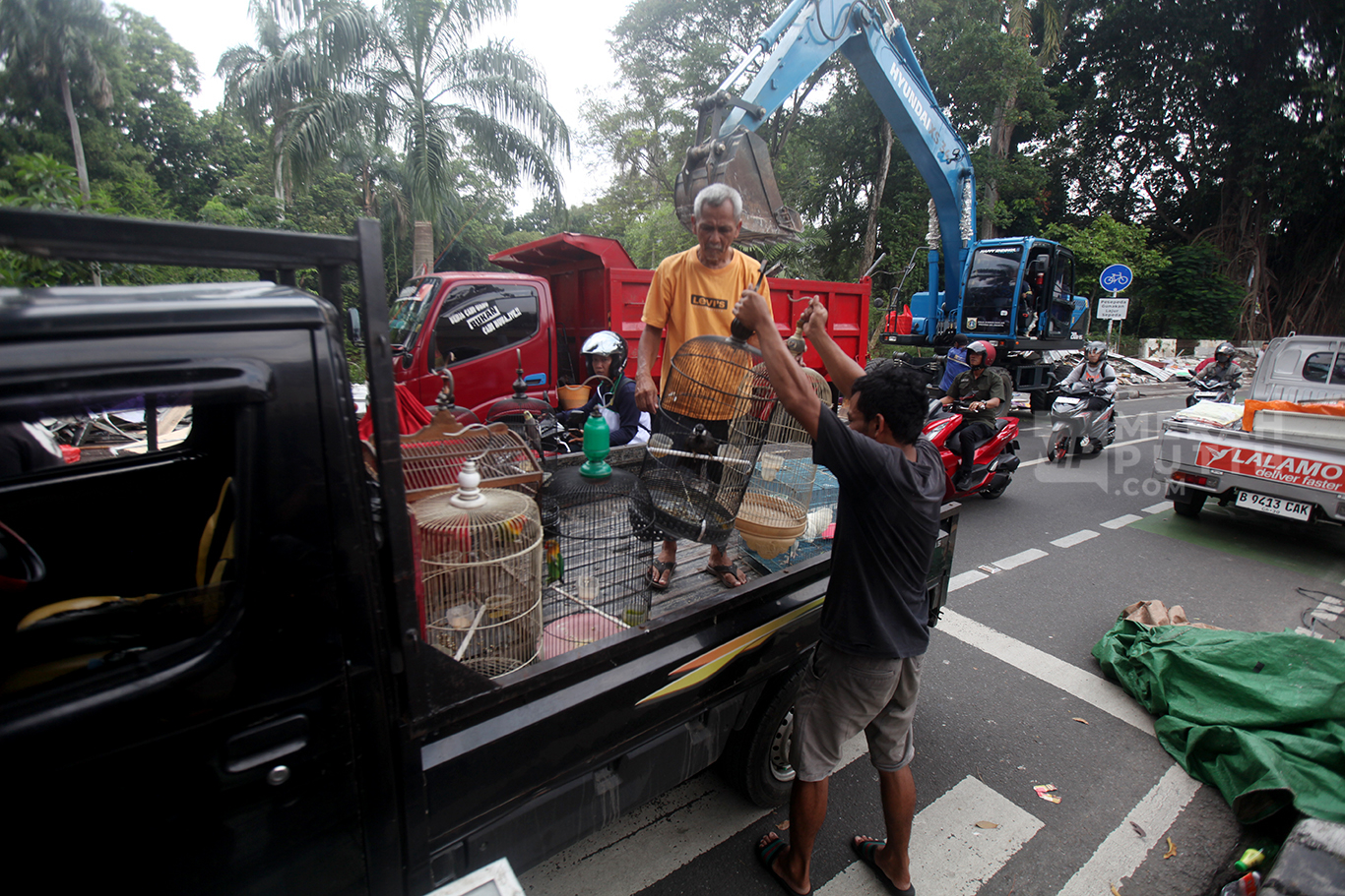 Pedagang Hewan Peliharaan Pasar Barito Evakuasi Barang Dagangan