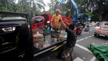 Pedagang Hewan Peliharaan Pasar Barito Evakuasi Barang Dagangan