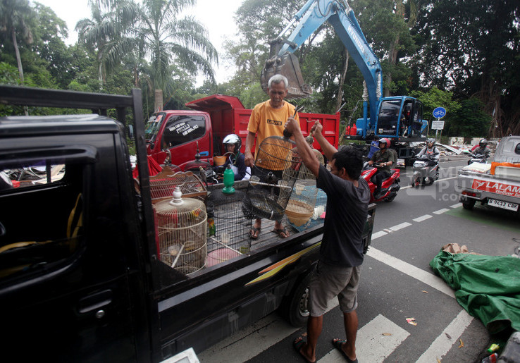 Pedagang Hewan Peliharaan Pasar Barito Evakuasi Barang Dagangan