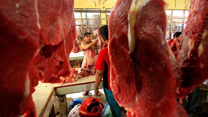 Pemerintah Ingin Impor Daging, Peternak Lokal Ketar-ketir 