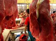 Pemerintah Ingin Impor Daging, Peternak Lokal Ketar-ketir 