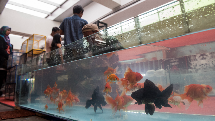 Balai Benih Ikan Kawasan Sayang-Sayang Siap Jadi Objek Wisata 