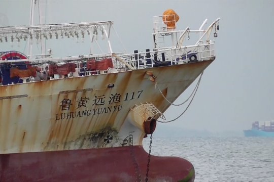 Polda Kepri menerjunkan tim gabungan untuk menginvestigasi adanya dugaan kasus perdagangan orang di Lu Huang Yuan Yu 117 dan 118. Dimana, perekrutan 22 Warga Negara Indonesia (WNI) di kapal asing berbendera China tersebut disinyalir dilakukan oleh PT Mandiri Tunggal Bahari yang sebelumnya juga terlibat dalam sejumlah kasus perdagangan orang. (Pradanna Putra Tampi/Soni Namura/Feny Aprianti)