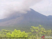 Masyarakat Sekitar Gunung Semeru Diimbau Tak Beraktivitas Radius hingga 5 Kilometer