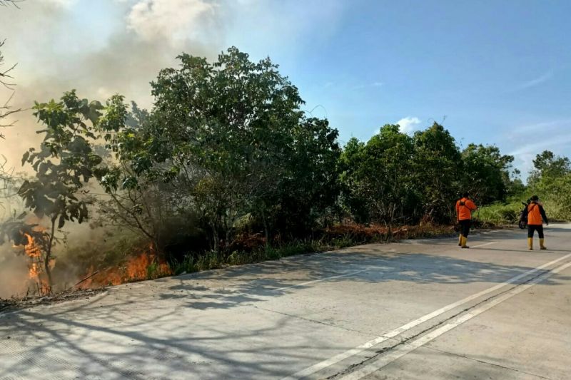 Sejumlah Wilayah Berpotensi Alami Karhutla