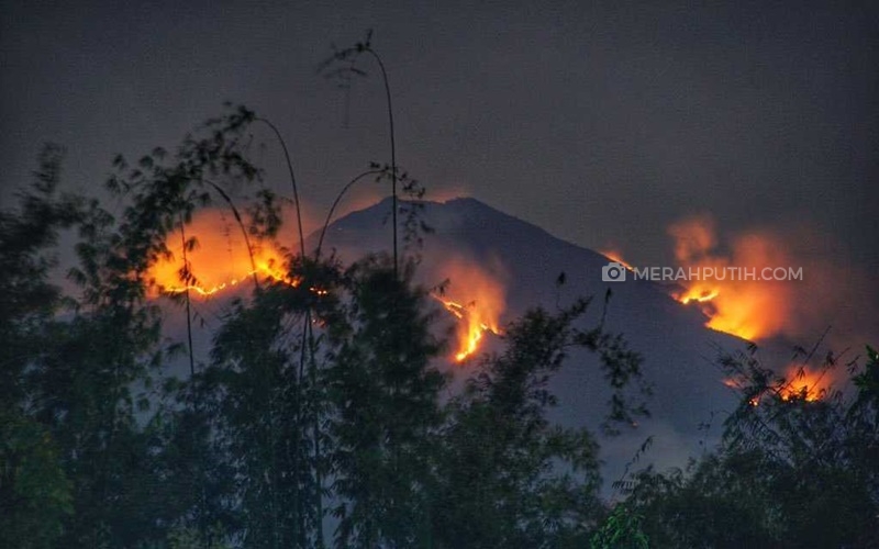   Sekitar 150 Hektare Hutan Gunung Merbabu Terbakar Meluas Sampai Semarang 