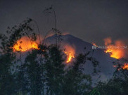   Sekitar 150 Hektare Hutan Gunung Merbabu Terbakar Meluas Sampai Semarang 